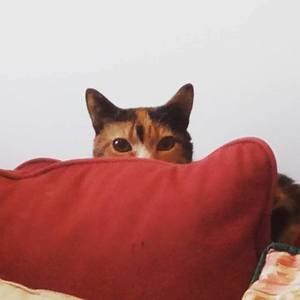 Meet your Posher, Lee